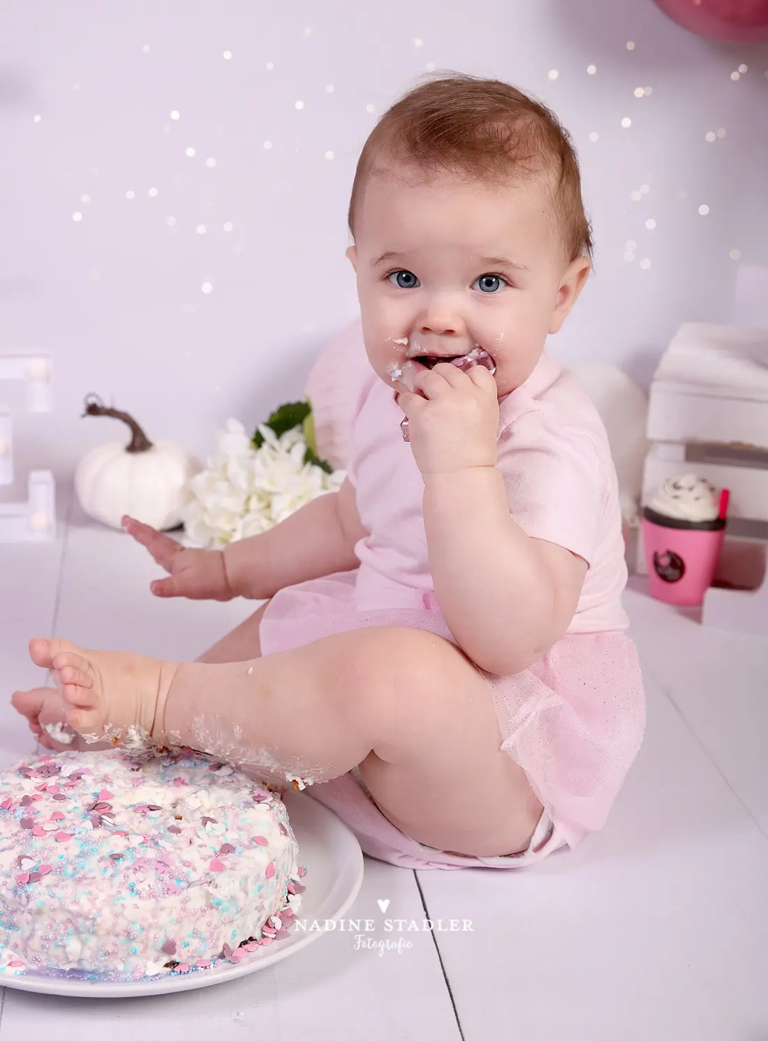 Cakesmashfoto, Wuppertal, Fotostudio Wuppertal, Fotoshoting Wuppertal, Fotograf Wuppertal, Cakesmash Wuppertal 